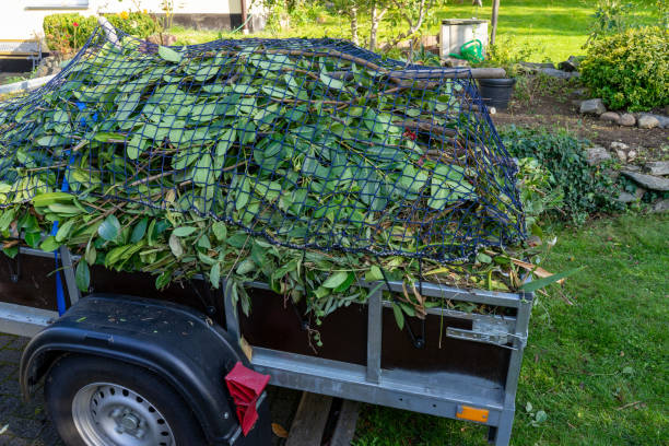 Best Residential Junk Removal  in Winfield, WV
